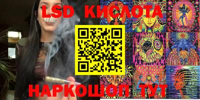 прущие грибы Кунгур