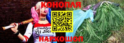 прущие грибы Кунгур