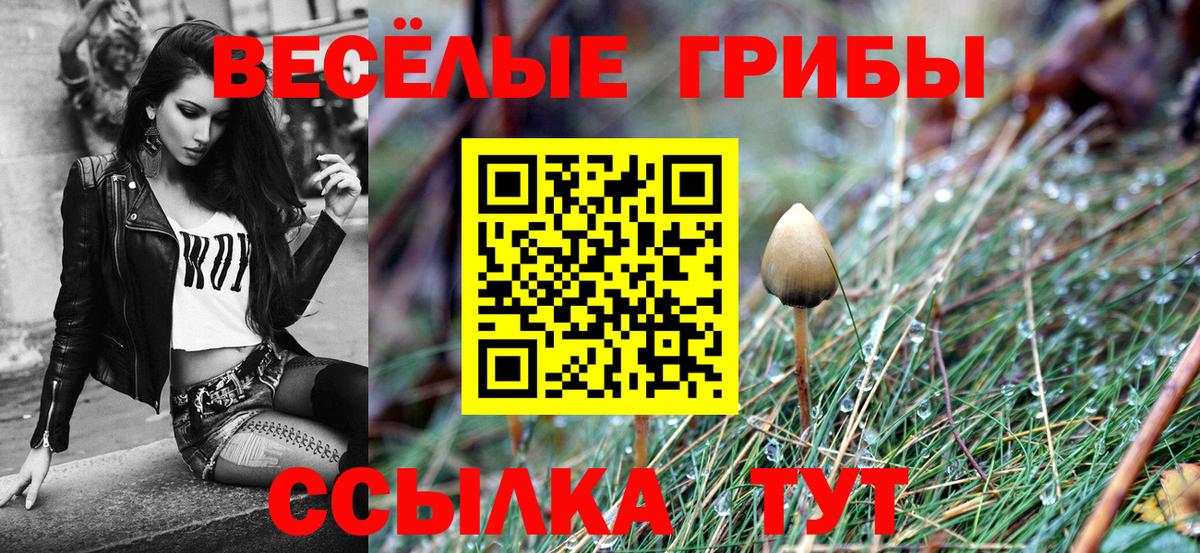Псилоцибиновые грибы мицелий Учалы