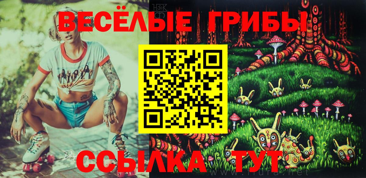 купить   Вход с VPN  Учалы  Галлюциногенные грибы Psilocybe 